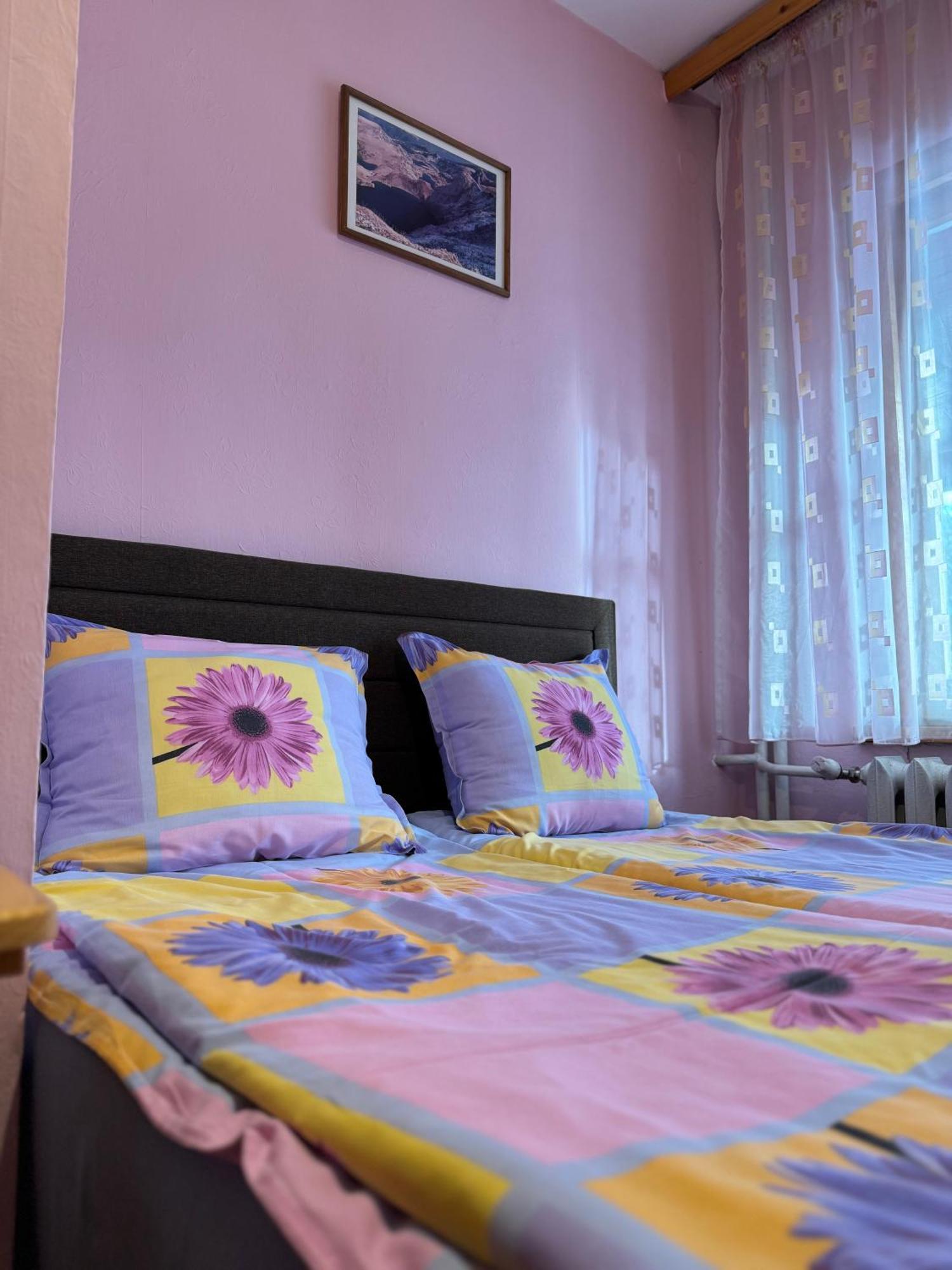 Mama Emiliya Guest House Beli Iskar Eksteriør billede