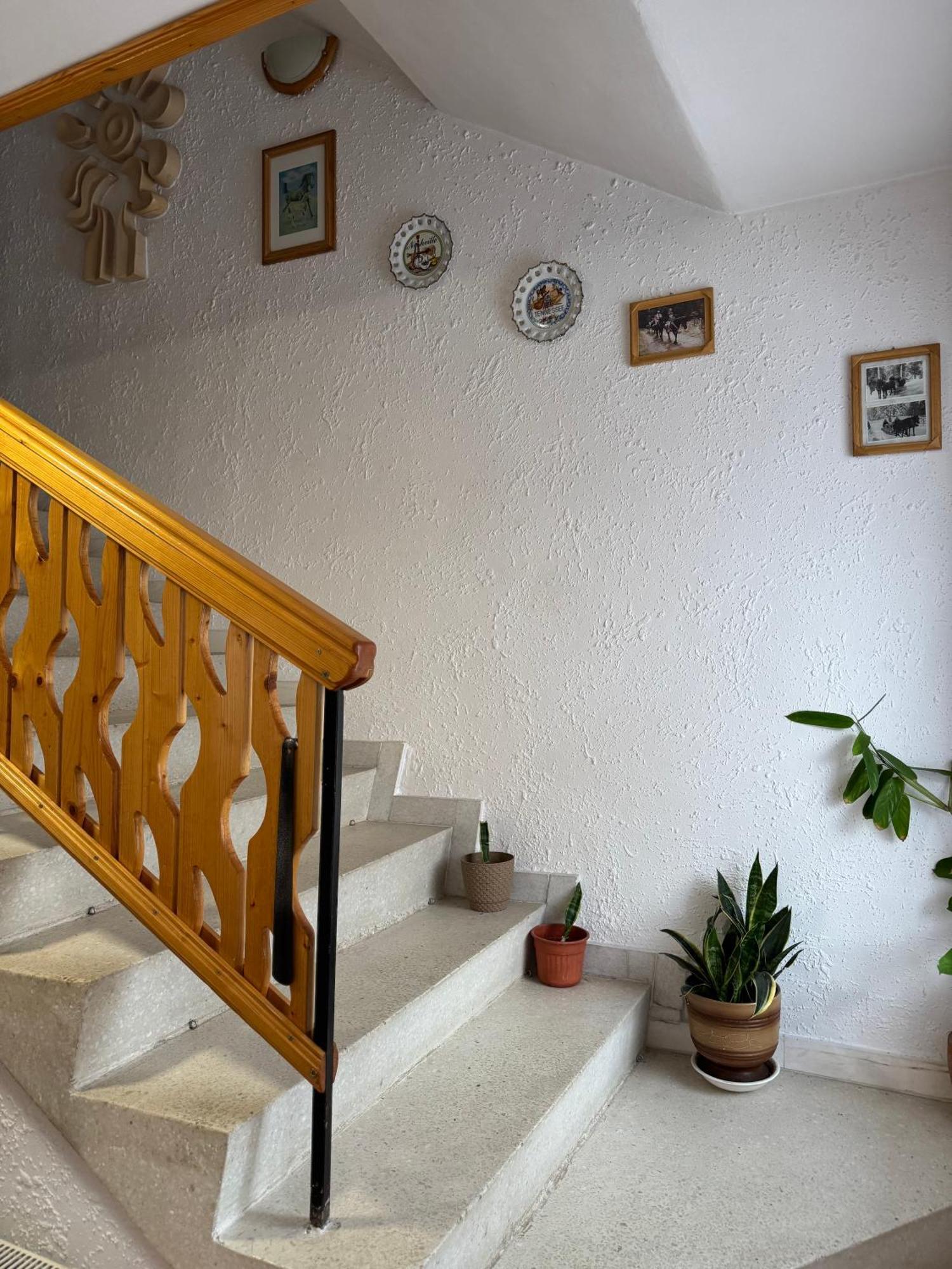 Mama Emiliya Guest House Beli Iskar Eksteriør billede